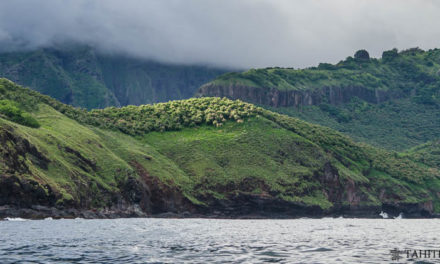 Voyage aux îles Marquises: découverte de Nuku Hiva