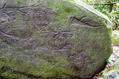Pétroglyphes représentant des tortues - site archéologique de Kamuihei