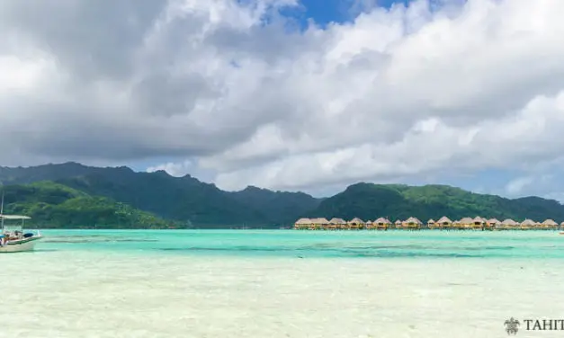 Tahaa : une journée d’excursion autour de l’île