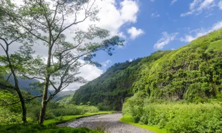 De Papenoo à Mataiea : la traversée de Tahiti en 4×4