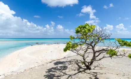 Atoll de Tikehau : notre weekend au paradis