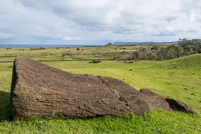 Moai en chemin sur l'île de Pâques