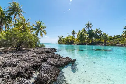Mataiva: hoa