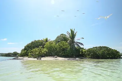 Mataiva: l'île aux oiseaux