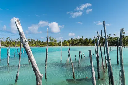 Mataiva : parcs à poissons