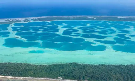 Mataiva : voyage en Polynésie loin des sentiers battus