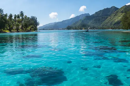 Photos de la Polynésie française : lagon de Moorea