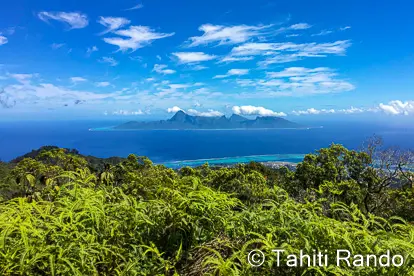 rando-pic-vert Randonnée du pic vert vue sur moorea