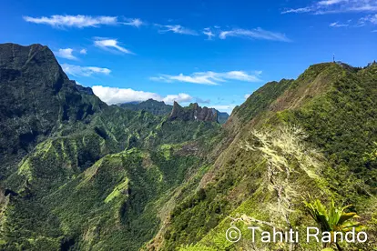 randonee-pic-vert-tahiti Au sommet du pic vert tahiti