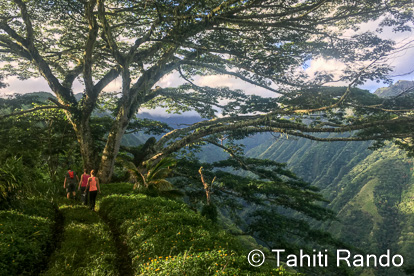 Randonnée des mille sources à Tahiti