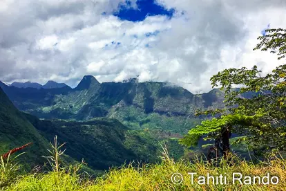 randonnee-mont-marau-plateau-des-orangers Plateau des orangers
