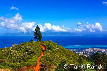 randonnée-mont-marau Randonnée du mont marau à Tahiti
