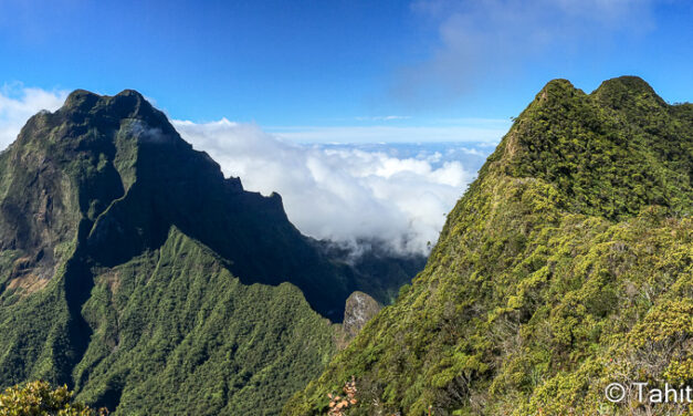 Randonnée à Tahiti: 10 itinéraires à faire sans guide